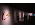 بازدید از موزه هنرهای معاصر تهران، نمایشگاه "پیکاسو در تهران"