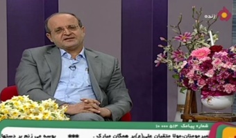 در نگاه شیعه بیشتر به ذوالفقار حضرت توجه شده/ امام علی(ع) شروع‌کننده‌ی هیچ جنگی نبود