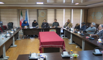 بوم ایرانی