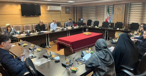 دومین جلسه کمیته علمی همایش «فرهنگ، رسانه و تحولات نسلی» برگزار شد