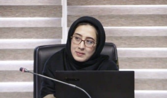 دکتر تقی‌زادگان: نقاشی زنان عرصه نمایش بازاندیشی و جدال با روایت‌های قالبی است